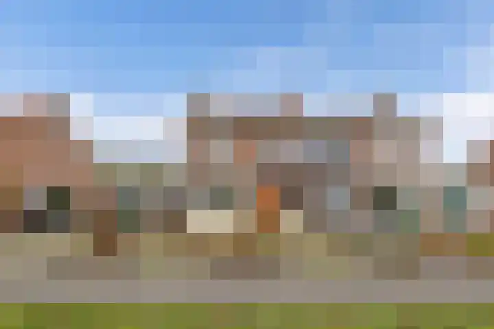 Noordzoom 125 Marknesse thumbnail 5