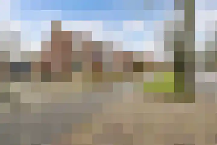 Noordzoom 125 Marknesse thumbnail 6