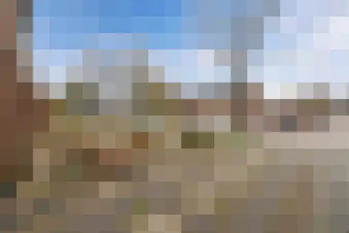 Noordzoom 125 Marknesse thumbnail 7