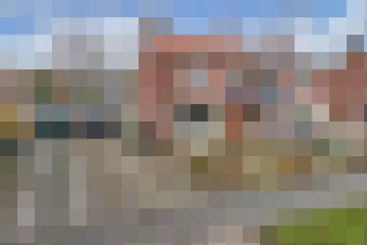 Noordzoom 125 Marknesse thumbnail 8