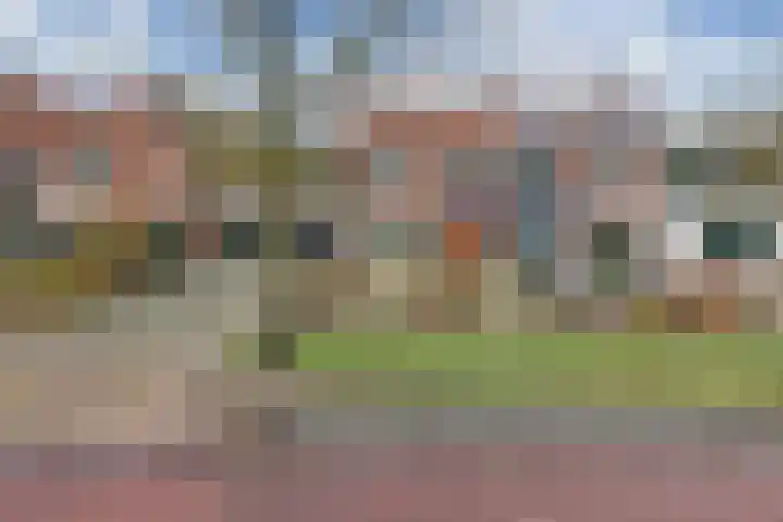Noordzoom 125 Marknesse thumbnail 9