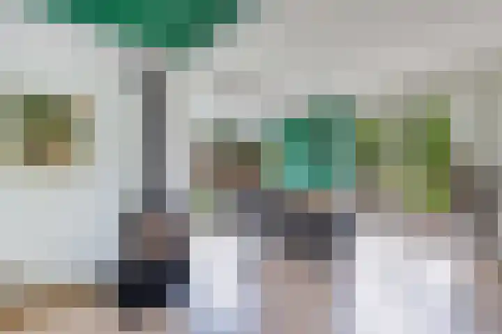 Noordzoom 133 Marknesse thumbnail 15