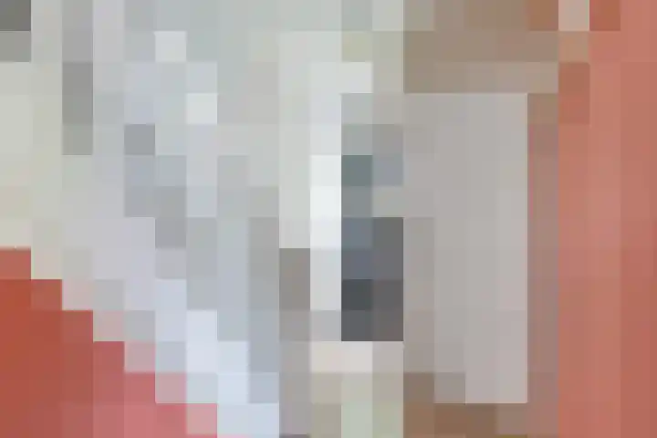 Noordzoom 133 Marknesse thumbnail 18