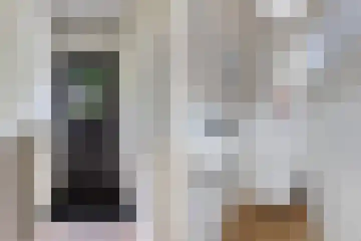 Noordzoom 133 Marknesse thumbnail 19