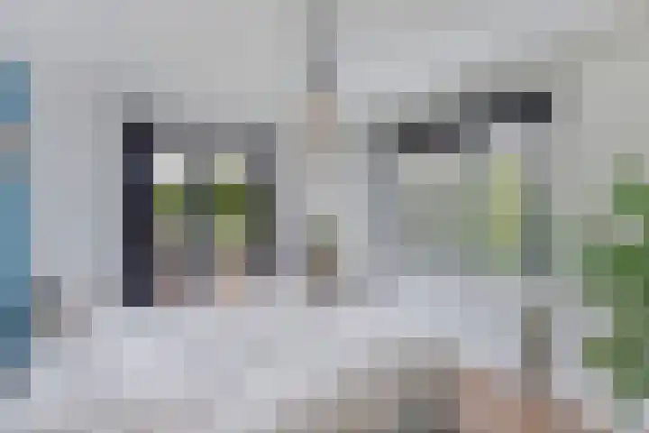 Noordzoom 133 Marknesse thumbnail 21