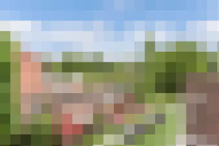 Noordzoom 133 Marknesse thumbnail 22