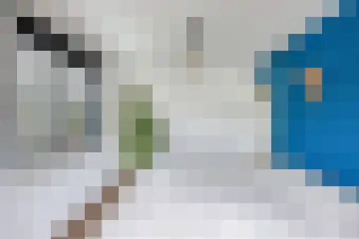 Noordzoom 133 Marknesse thumbnail 23