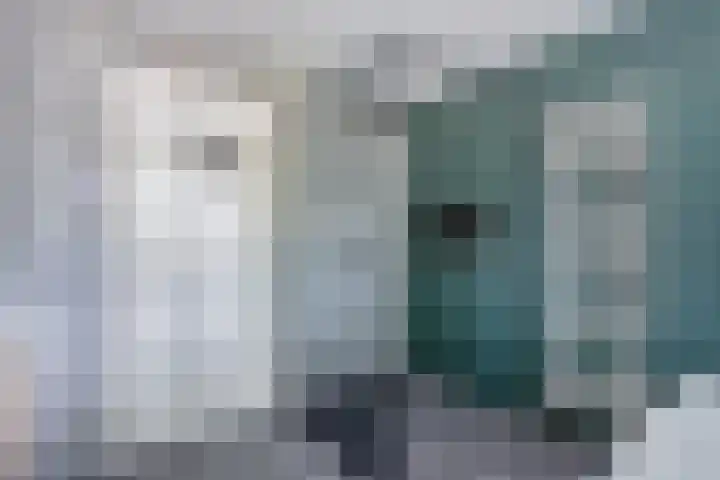 Noordzoom 133 Marknesse thumbnail 28