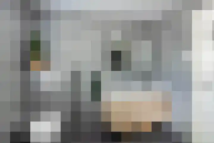 Noordzoom 133 Marknesse thumbnail 29