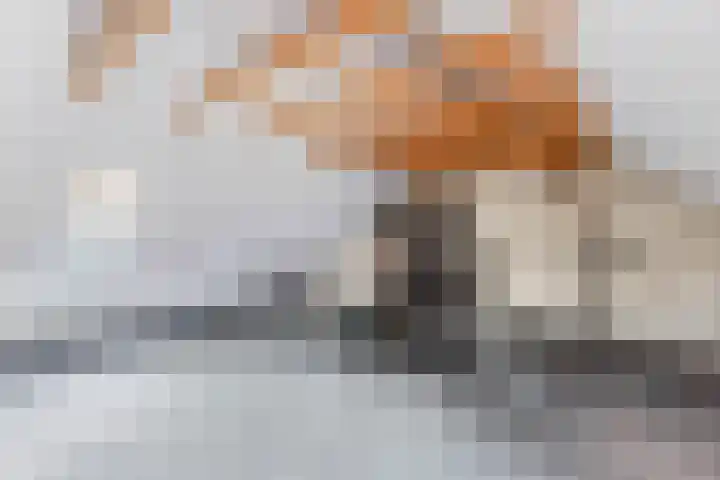 Noordzoom 133 Marknesse thumbnail 32