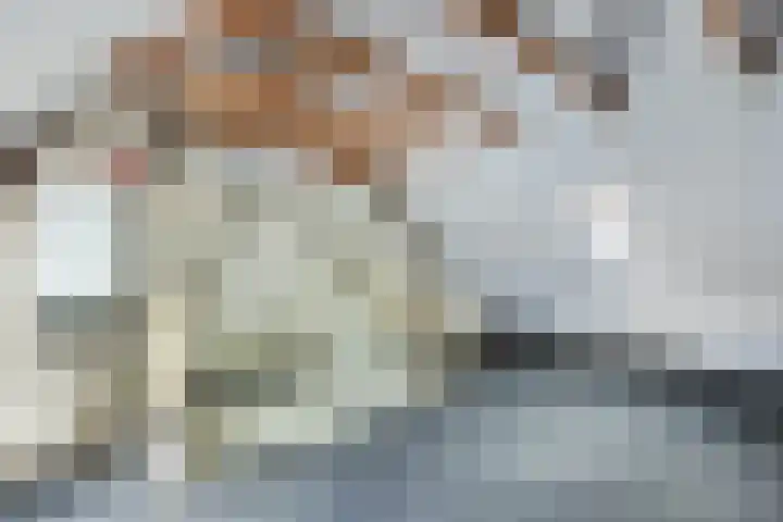 Noordzoom 133 Marknesse thumbnail 33