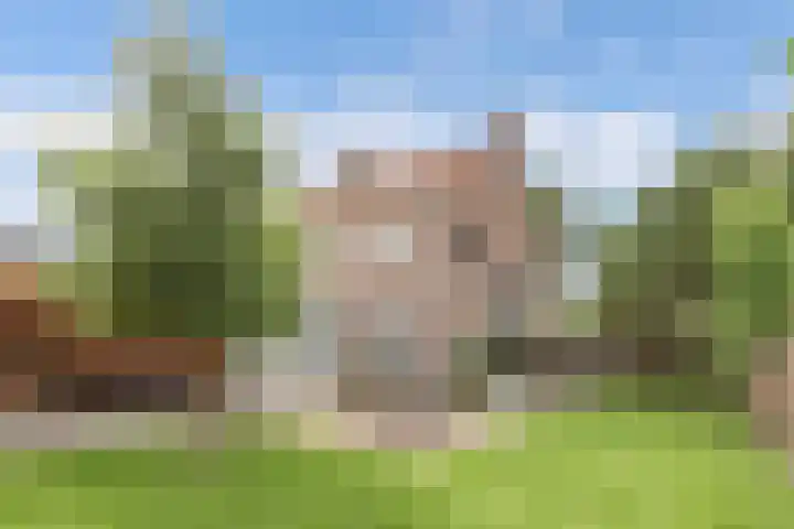 Noordzoom 133 Marknesse thumbnail 34