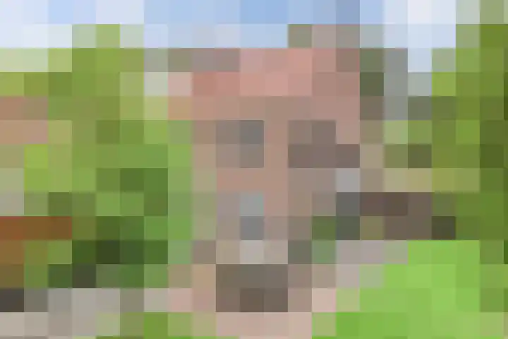Noordzoom 133 Marknesse thumbnail 35