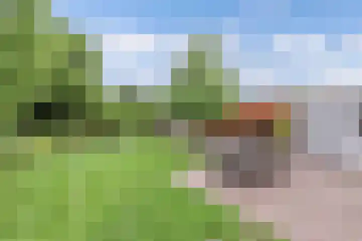 Noordzoom 133 Marknesse thumbnail 36