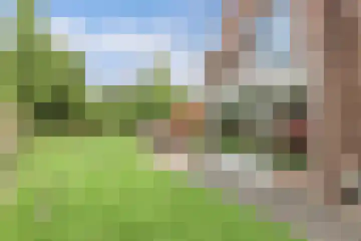 Noordzoom 133 Marknesse thumbnail 37