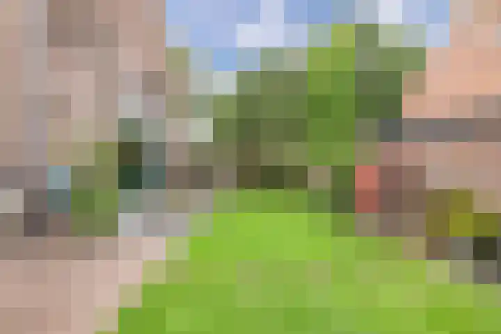 Noordzoom 133 Marknesse thumbnail 38