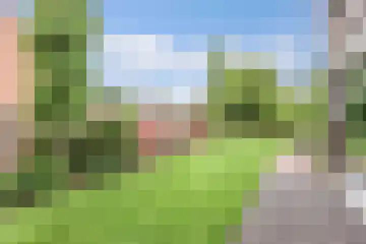 Noordzoom 133 Marknesse thumbnail 39