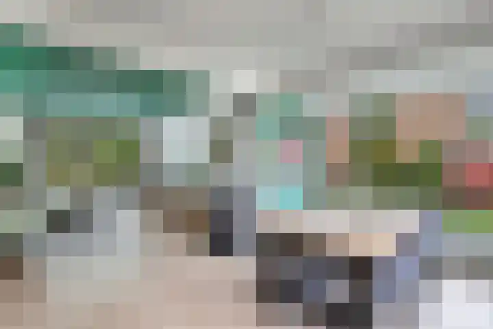 Noordzoom 133 Marknesse thumbnail 4