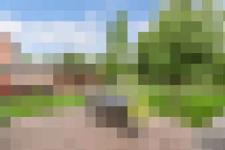 Noordzoom 133 Marknesse thumbnail 40