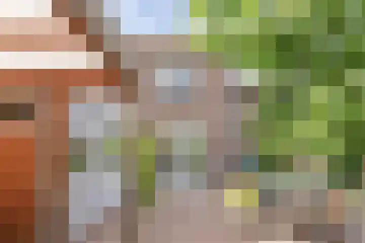 Noordzoom 133 Marknesse thumbnail 41