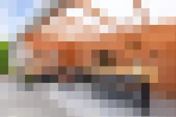 Noordzoom 133 Marknesse thumbnail 42