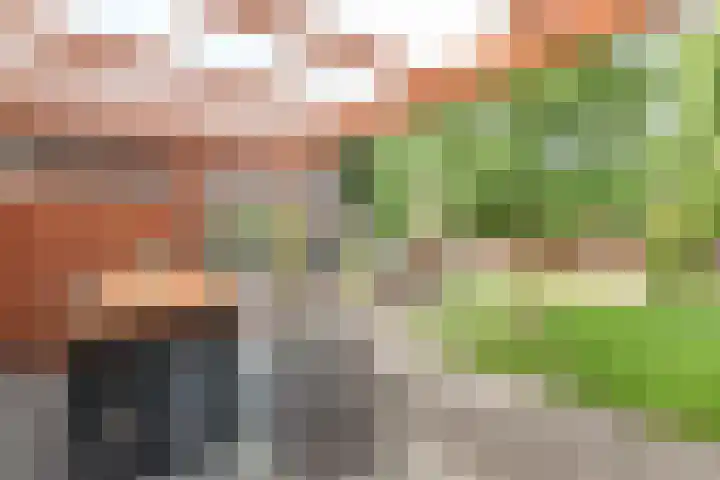 Noordzoom 133 Marknesse thumbnail 43