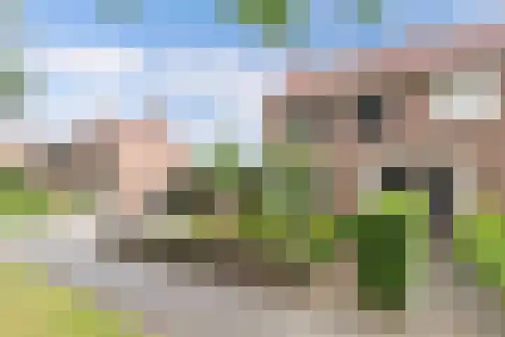 Noordzoom 133 Marknesse thumbnail 47