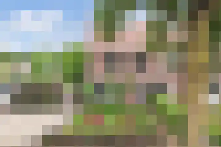 Noordzoom 133 Marknesse thumbnail 48