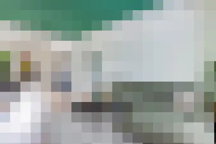 Noordzoom 133 Marknesse thumbnail 5
