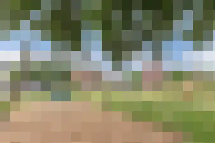 Noordzoom 133 Marknesse thumbnail 50