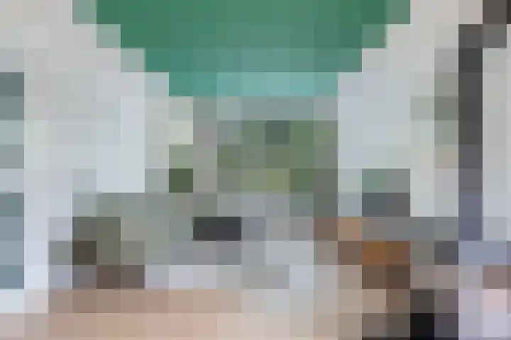 Noordzoom 133 Marknesse thumbnail 7
