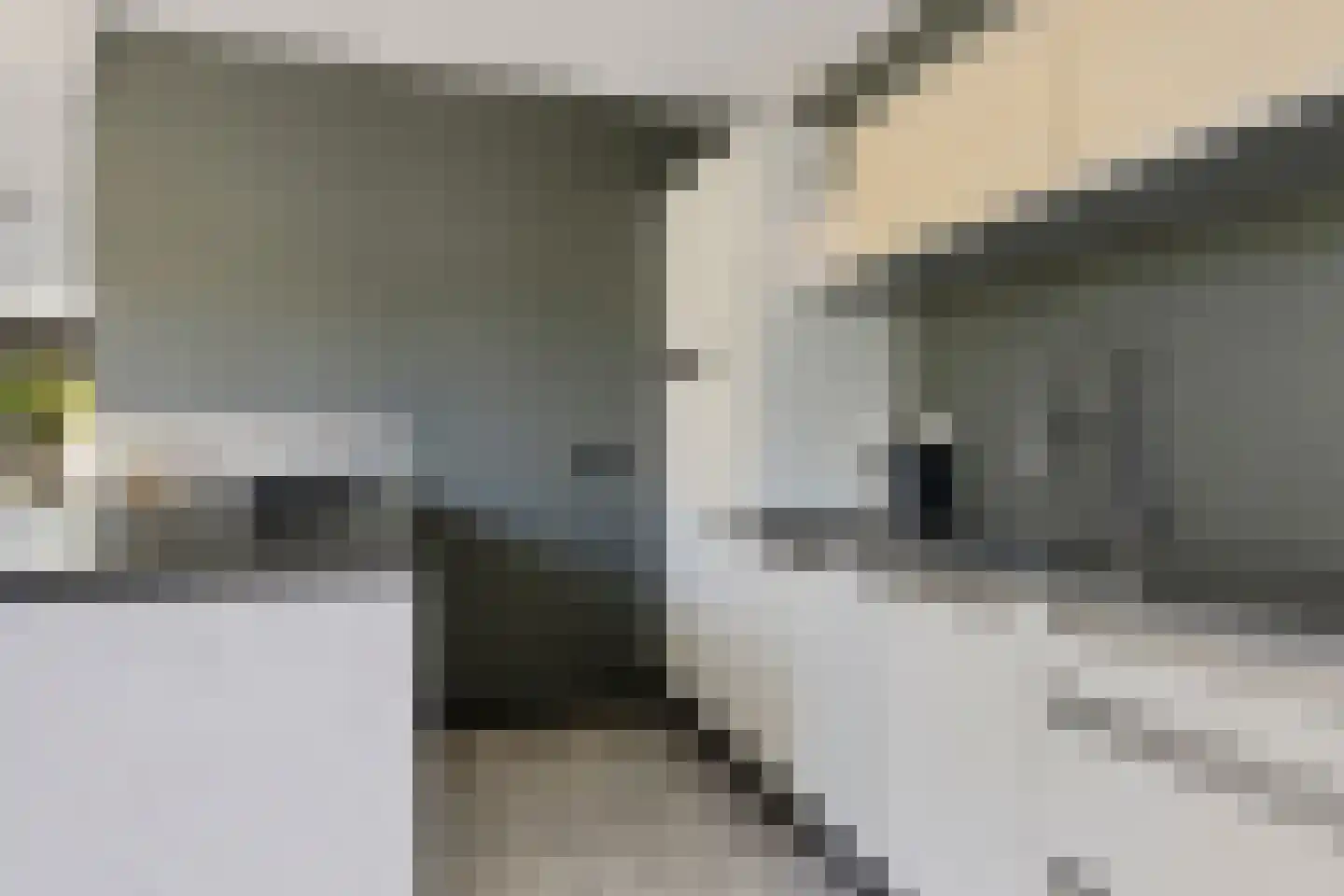 Noordzoom 135 Marknesse thumbnail 13