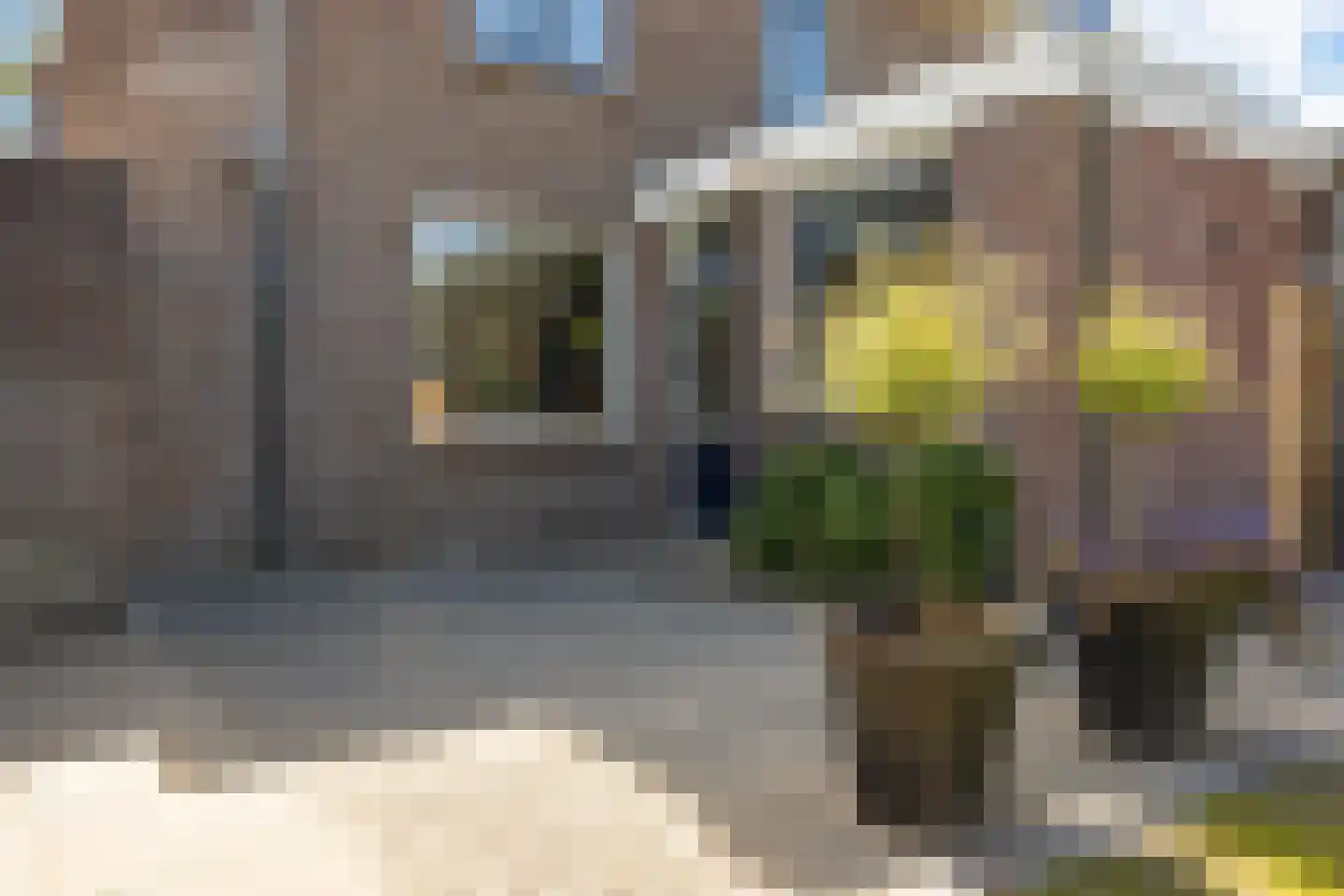 Noordzoom 135 Marknesse thumbnail 37