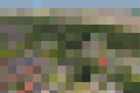 Noordzoom 135 Marknesse thumbnail 4