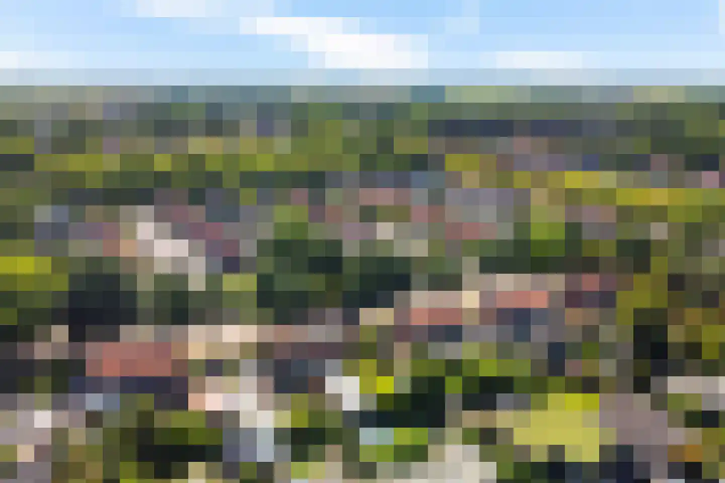 Noordzoom 135 Marknesse thumbnail 40
