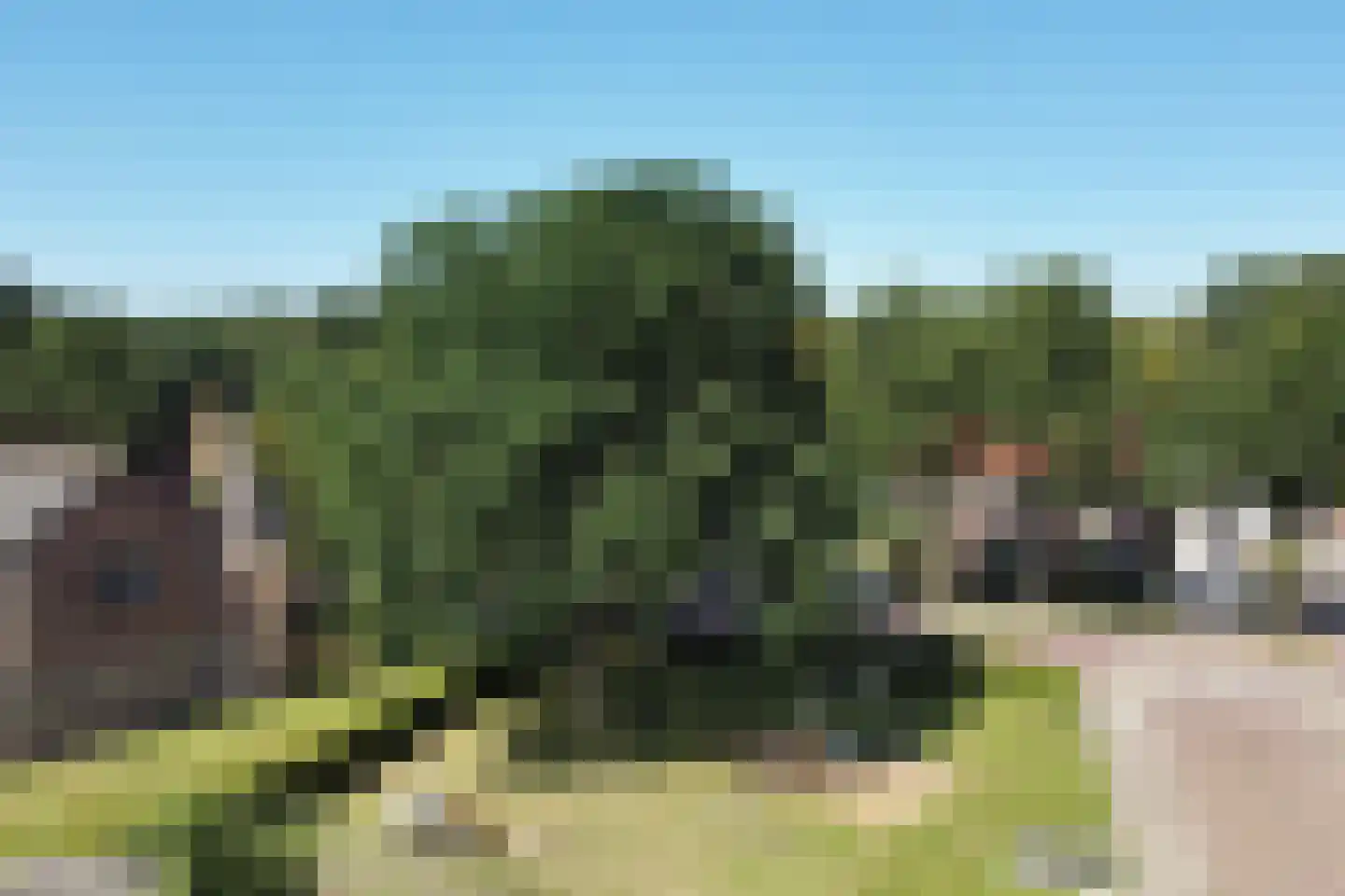 Noordzoom 135 Marknesse thumbnail 42