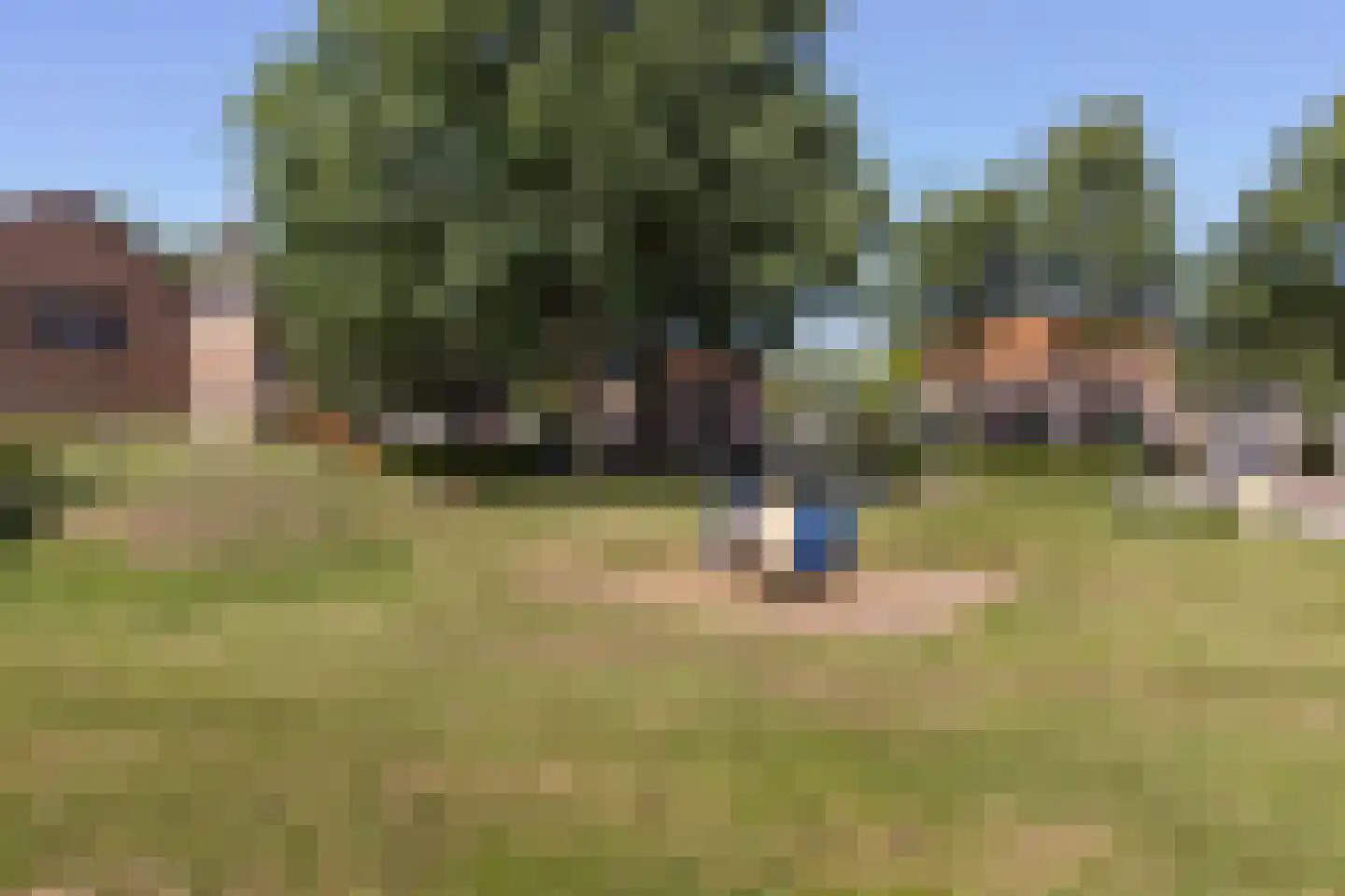 Noordzoom 135 Marknesse thumbnail 43