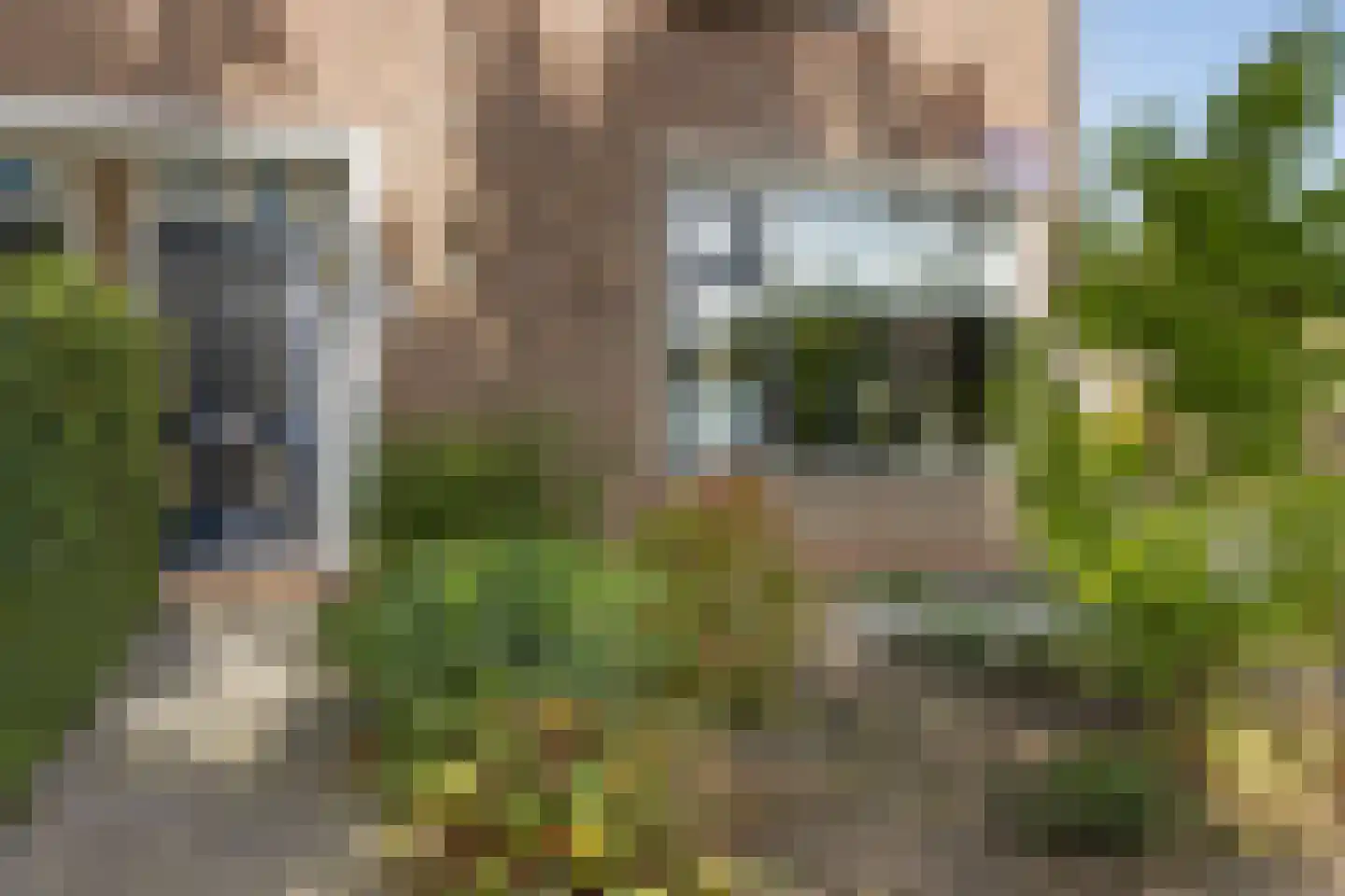 Noordzoom 135 Marknesse thumbnail 6