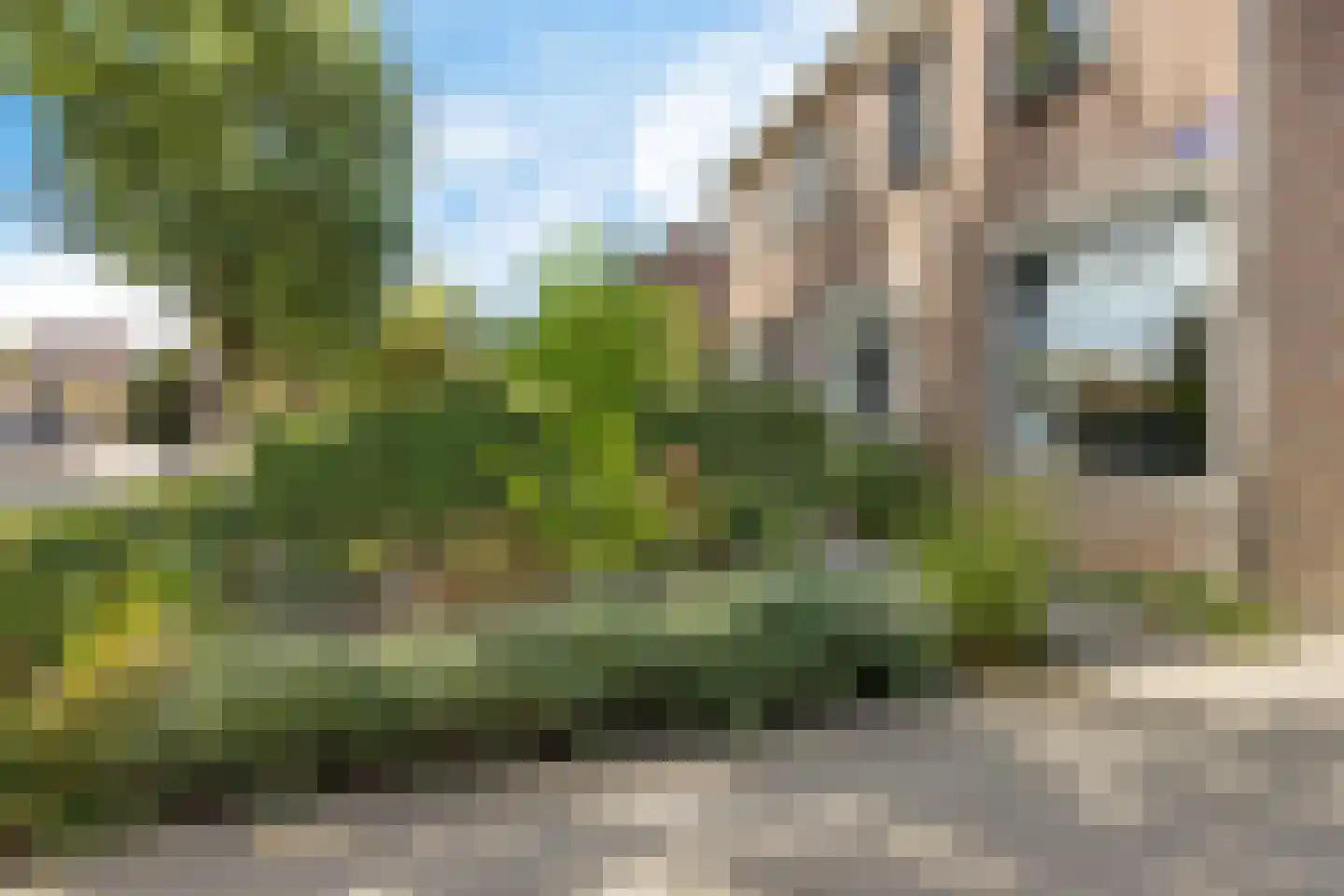 Noordzoom 135 Marknesse thumbnail 7