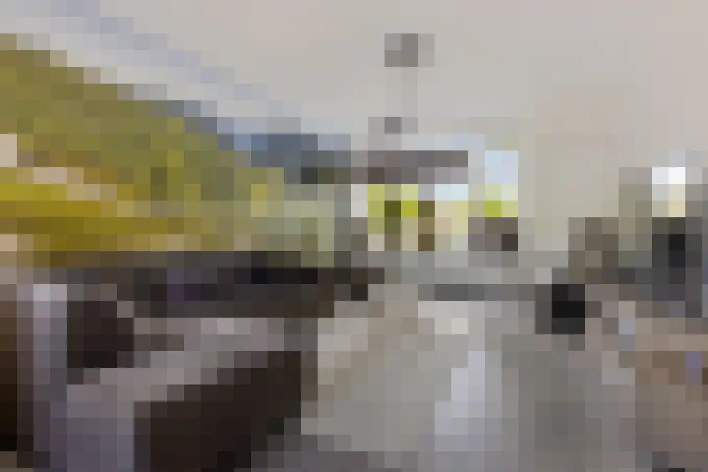 Noordzoom 135 Marknesse thumbnail 8