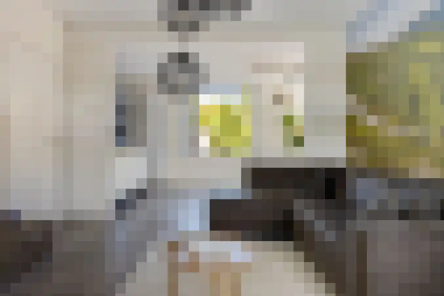 Noordzoom 135 Marknesse thumbnail 9