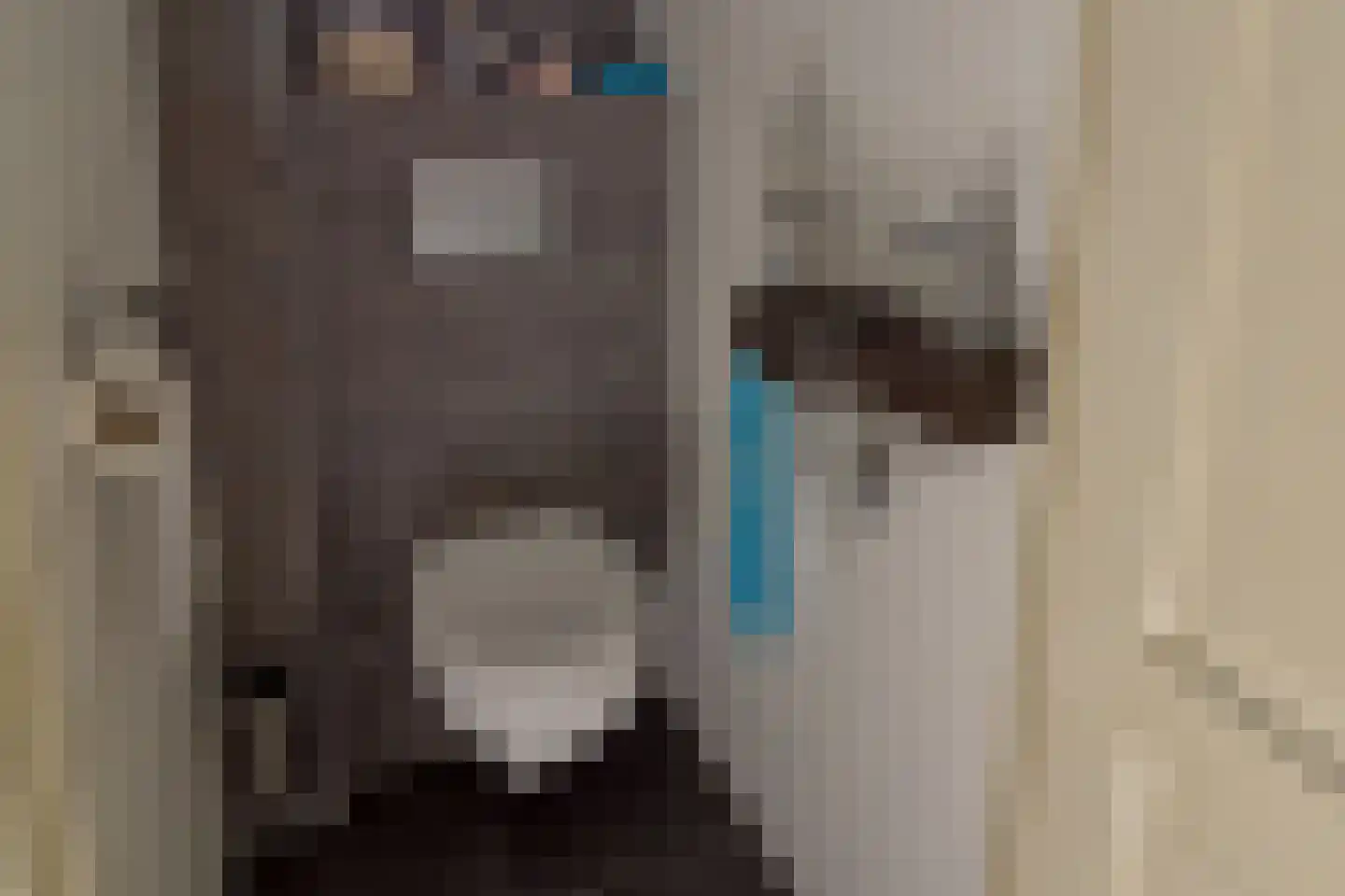 Noordzoom 137 Marknesse thumbnail 11
