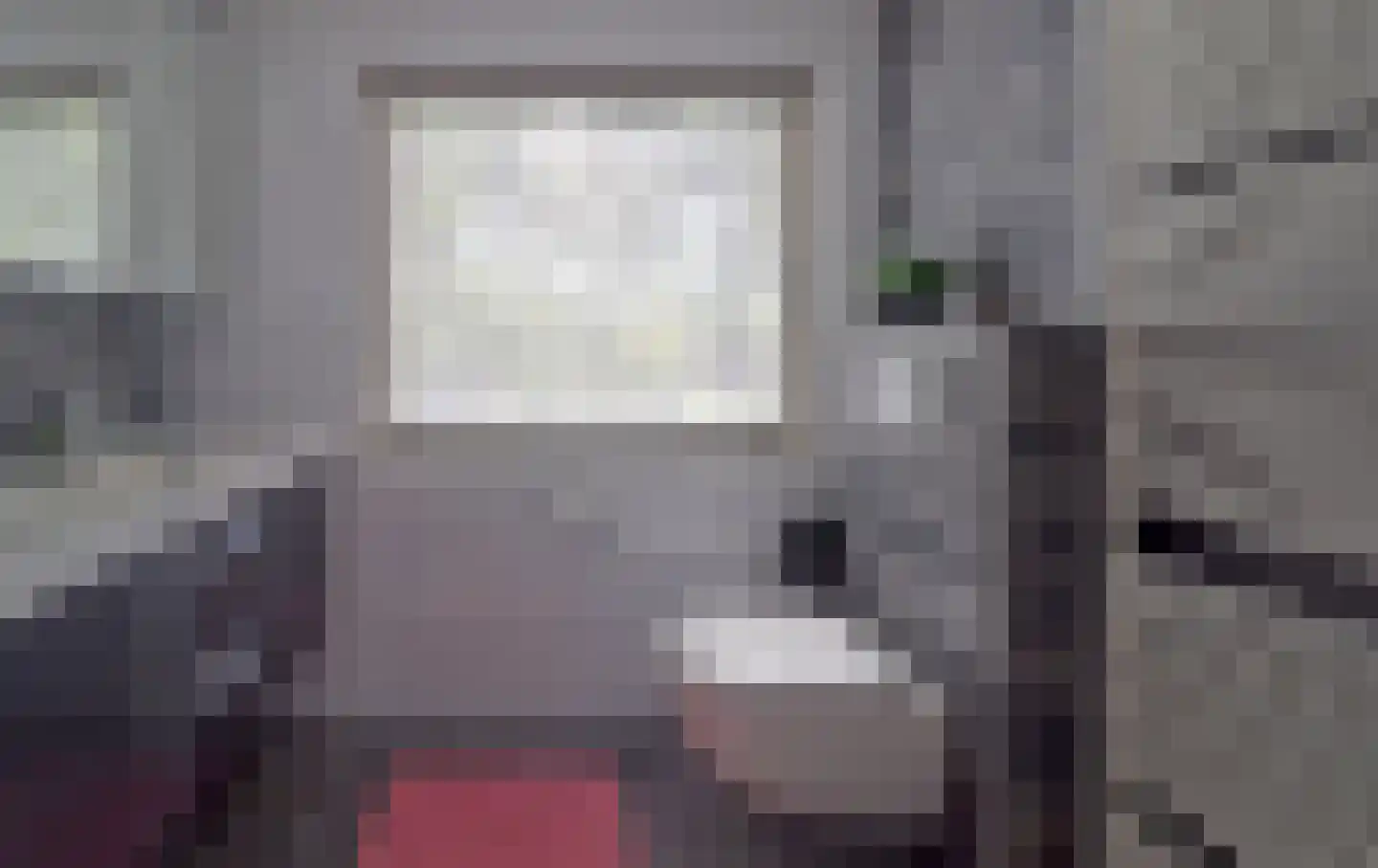 Noordzoom 137 Marknesse thumbnail 15