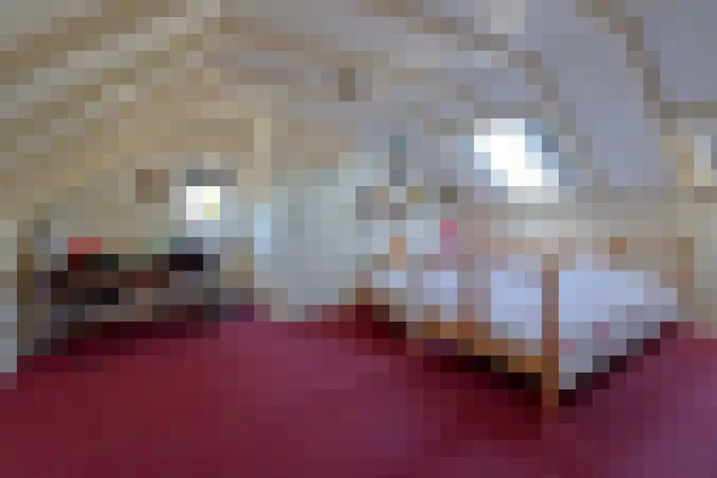 Noordzoom 137 Marknesse thumbnail 19