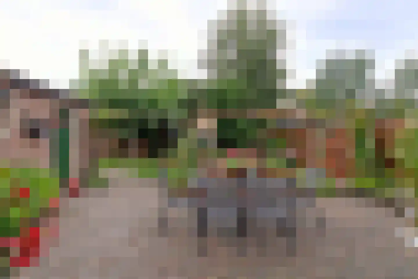 Noordzoom 137 Marknesse thumbnail 22