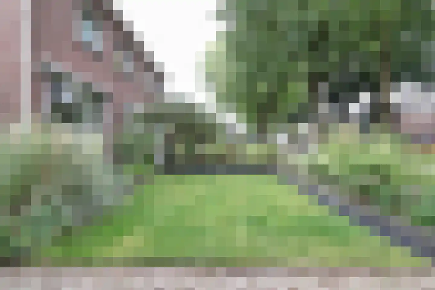 Noordzoom 137 Marknesse thumbnail 35