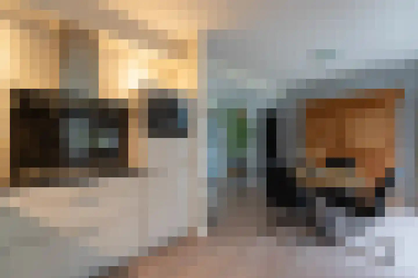 Noordzoom 14 Marknesse thumbnail 20