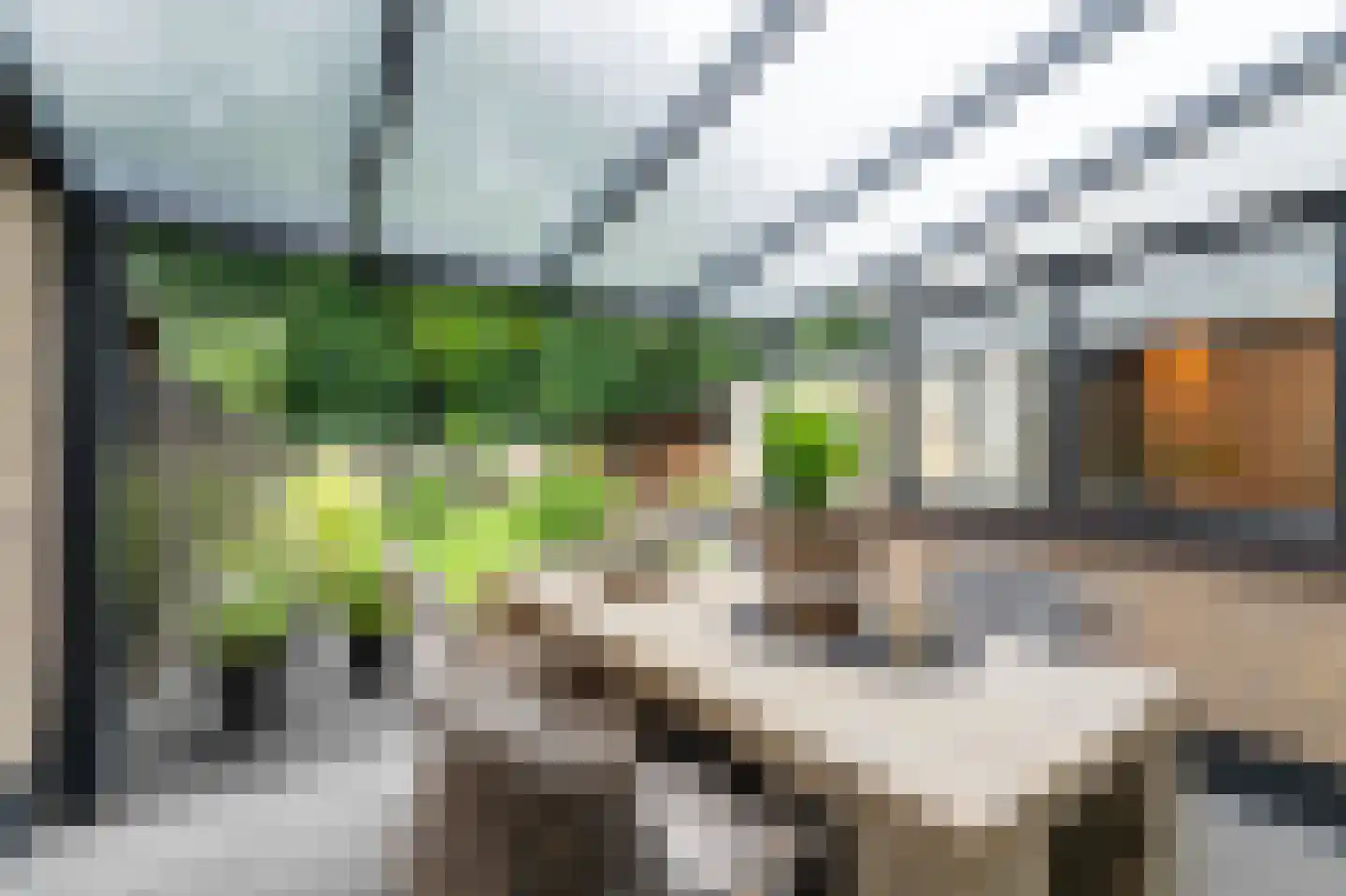 Noordzoom 14 Marknesse thumbnail 30