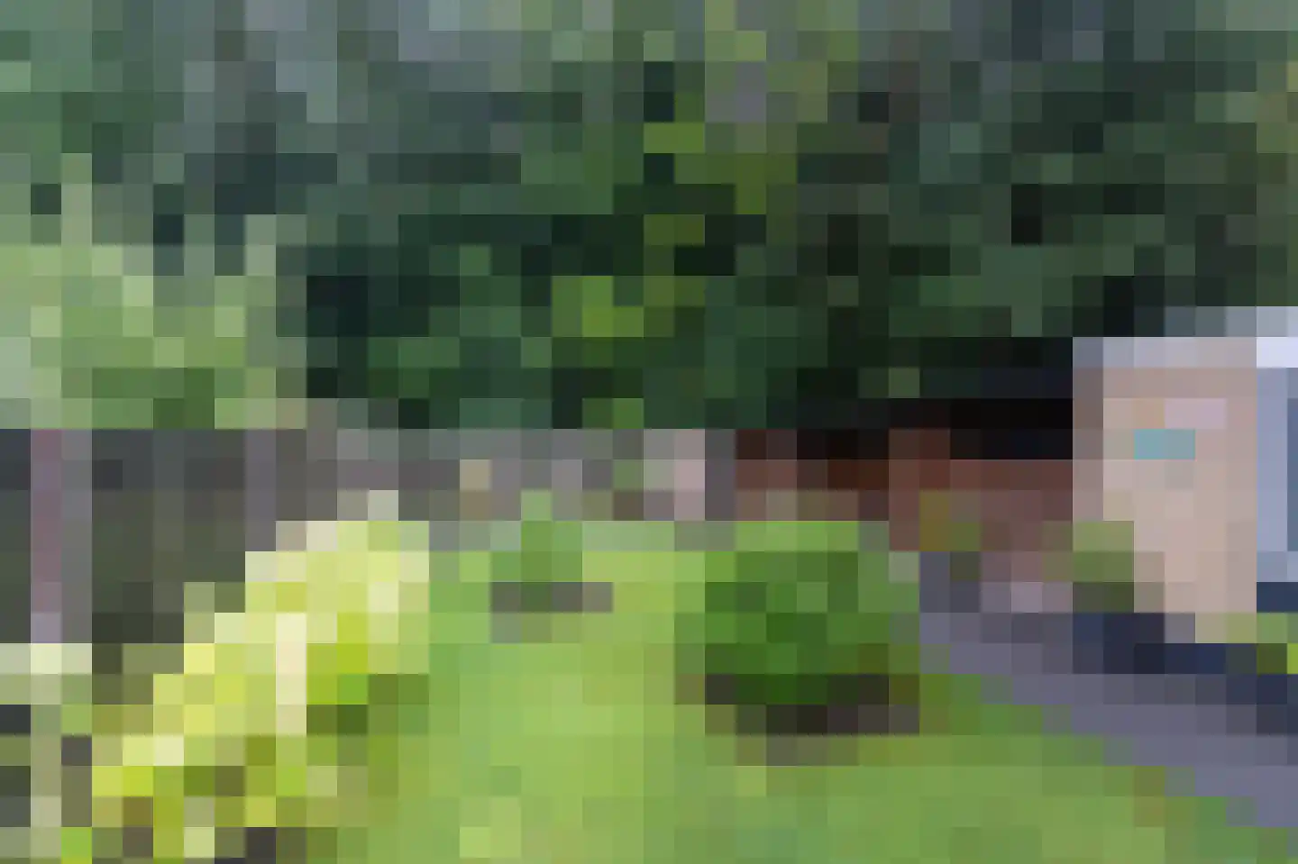Noordzoom 14 Marknesse thumbnail 31