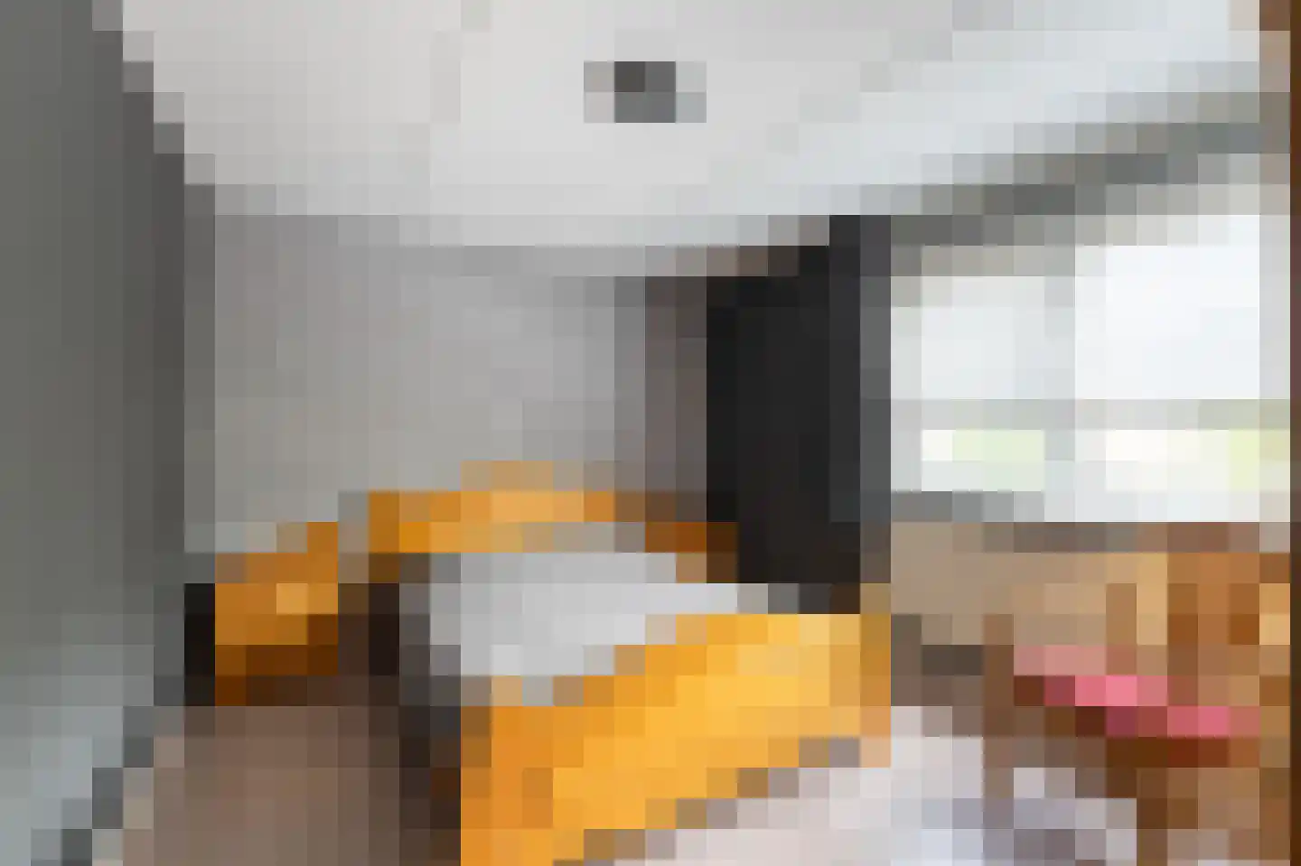 Noordzoom 14 Marknesse thumbnail 41